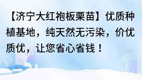 【济宁大红袍板栗苗】优质种植基地，纯天然无污染，价优质优，让您省心省钱！