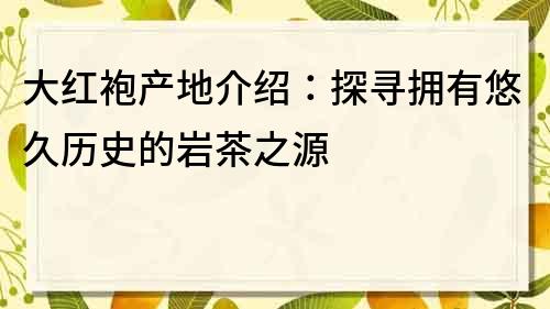 大红袍产地介绍：探寻拥有悠久历史的岩茶之源