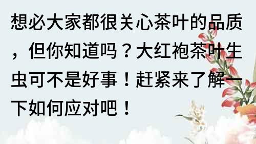 想必大家都很关心茶叶的品质，但你知道吗？大红袍茶叶生虫可不是好事！赶紧来了解一下如何应对吧！