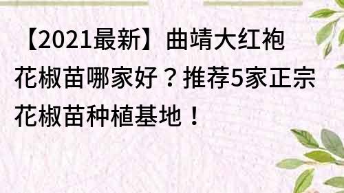 【2021最新】曲靖大红袍花椒苗哪家好？推荐5家正宗花椒苗种植基地！