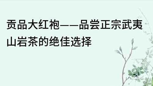 贡品大红袍——品尝正宗武夷山岩茶的绝佳选择