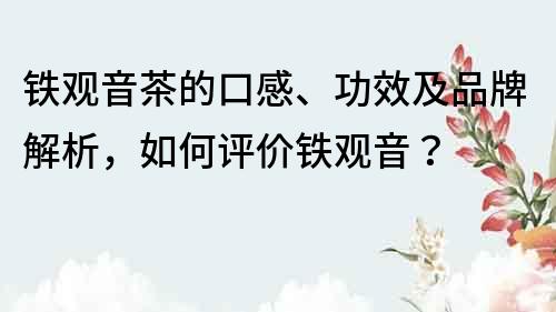 铁观音茶的口感、功效及品牌解析，如何评价铁观音？