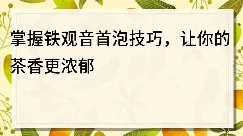 掌握铁观音首泡技巧，让你的茶香更浓郁