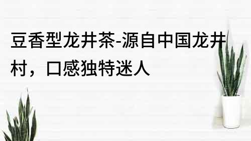 豆香型龙井茶-源自中国龙井村，口感独特迷人