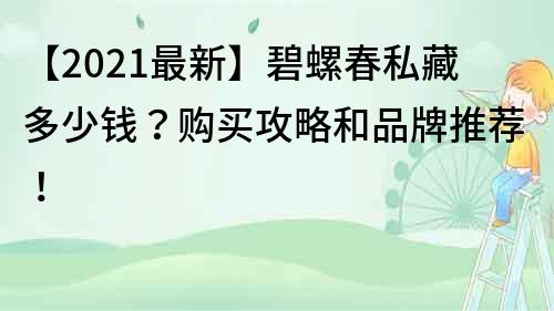 【2021最新】碧螺春私藏多少钱？购买攻略和品牌推荐！