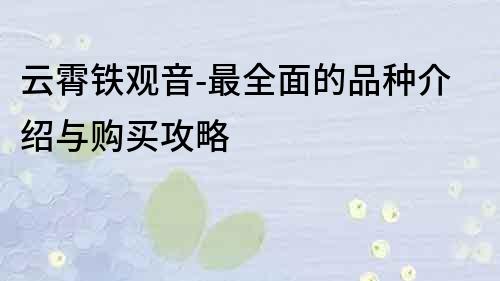 云霄铁观音-最全面的品种介绍与购买攻略