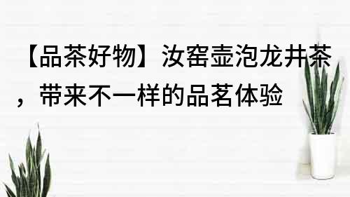 【品茶好物】汝窑壶泡龙井茶，带来不一样的品茗体验