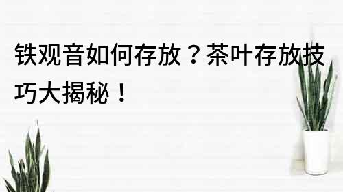 铁观音如何存放？茶叶存放技巧大揭秘！