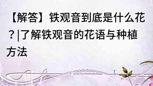 【解答】铁观音到底是什么花？|了解铁观音的花语与种植方法