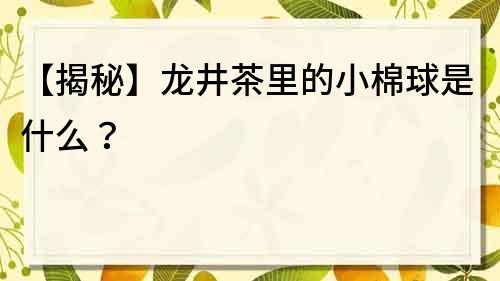 【揭秘】龙井茶里的小棉球是什么？