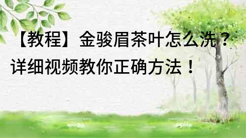 【教程】金骏眉茶叶怎么洗？详细视频教你正确方法！