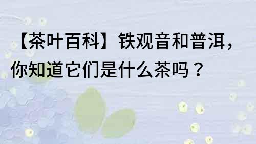 【茶叶百科】铁观音和普洱，你知道它们是什么茶吗？