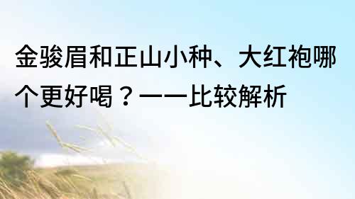 金骏眉和正山小种、大红袍哪个更好喝？一一比较解析