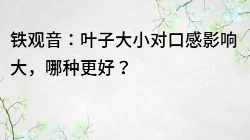 铁观音：叶子大小对口感影响大，哪种更好？