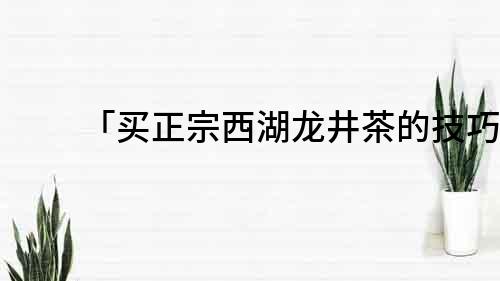 「买正宗西湖龙井茶的技巧」