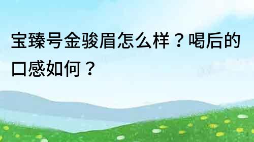 宝臻号金骏眉怎么样？喝后的口感如何？