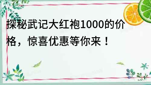 探秘武记大红袍1000的价格，惊喜优惠等你来！