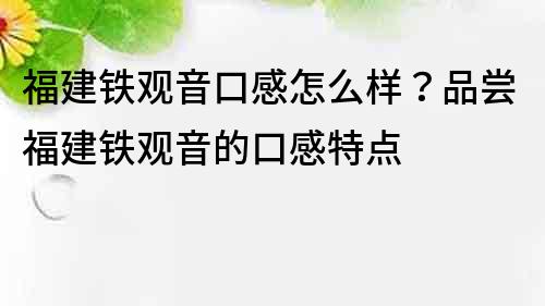 福建铁观音口感怎么样？品尝福建铁观音的口感特点