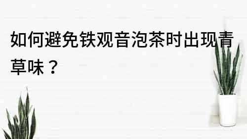 如何避免铁观音泡茶时出现青草味？