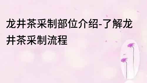 龙井茶采制部位介绍-了解龙井茶采制流程