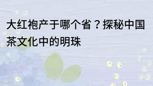 大红袍产于哪个省？探秘中国茶文化中的明珠