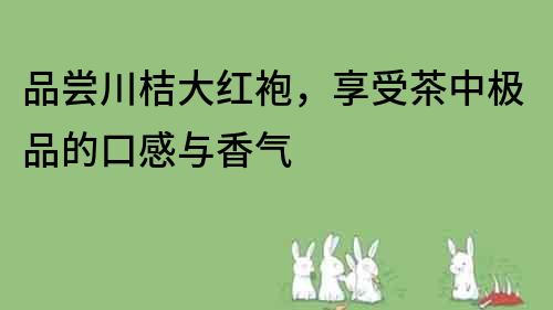 品尝川桔大红袍，享受茶中极品的口感与香气