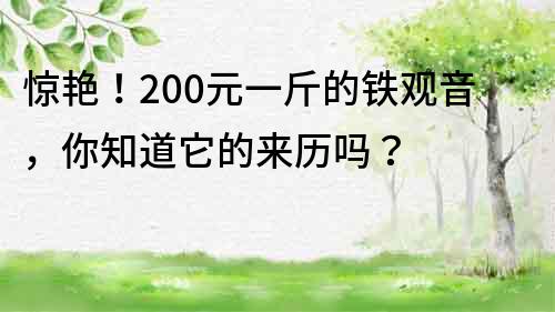 惊艳！200元一斤的铁观音，你知道它的来历吗？