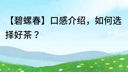 【碧螺春】口感介绍，如何选择好茶？