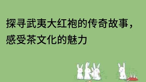 探寻武夷大红袍的传奇故事，感受茶文化的魅力