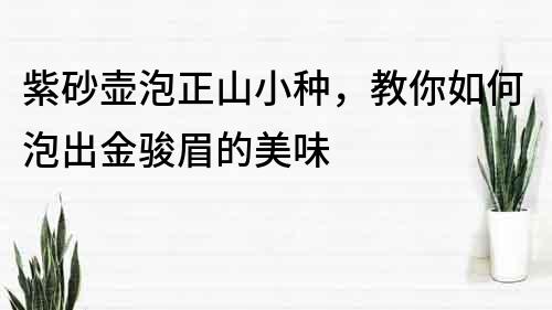 紫砂壶泡正山小种，教你如何泡出金骏眉的美味