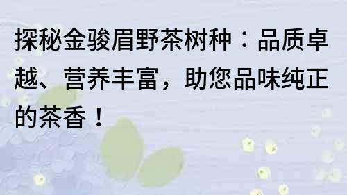 探秘金骏眉野茶树种：品质卓越、营养丰富，助您品味纯正的茶香！