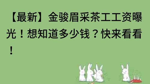 【最新】金骏眉采茶工工资曝光！想知道多少钱？快来看看！