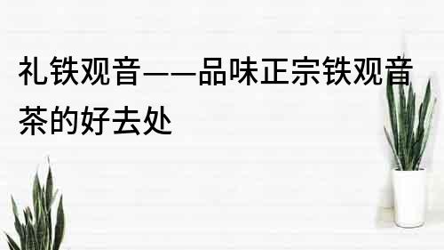 礼铁观音——品味正宗铁观音茶的好去处