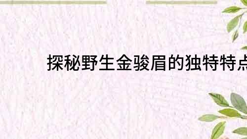 探秘野生金骏眉的独特特点