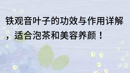 铁观音叶子的功效与作用详解，适合泡茶和美容养颜！