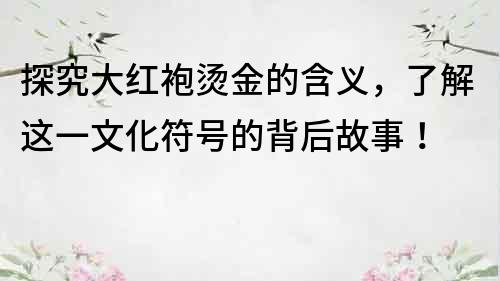 探究大红袍烫金的含义，了解这一文化符号的背后故事！