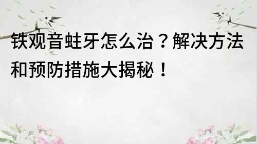 铁观音蛀牙怎么治？解决方法和预防措施大揭秘！