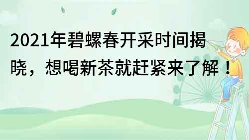 2021年碧螺春开采时间揭晓，想喝新茶就赶紧来了解！